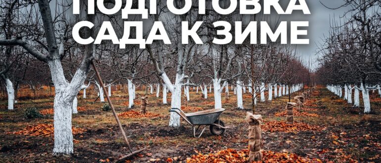 Подготовка сада к зиме: осенние работы