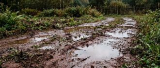 Лужи стоячей воды на глинистом участке после дождя